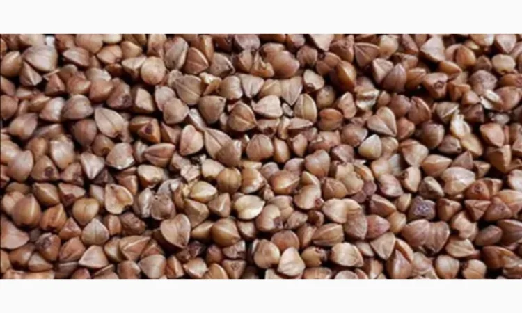 Гречка в мішку на продаж - фото № 1