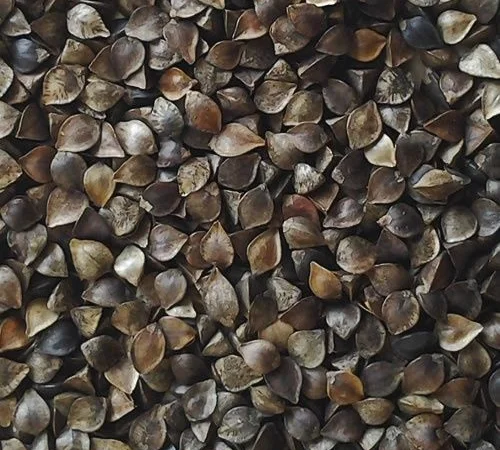 Закупка гречки от 20 тонн - фото № 1