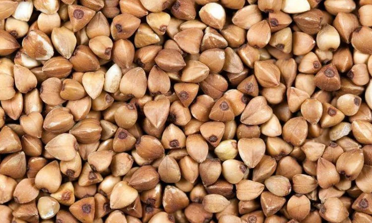 Закупляемо гречиху и отходи на самовивоз - фото № 1