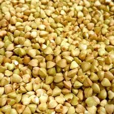 Гречка. Гречиха - фото № 1