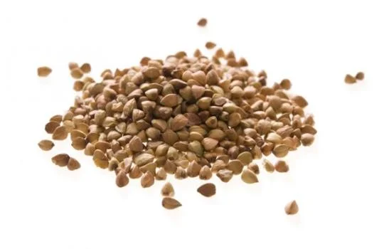 Гречка. Гречиха. Зерно гречки на продаж - фото № 1