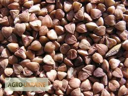 Куплю гречиху с самовывозом - фото № 1