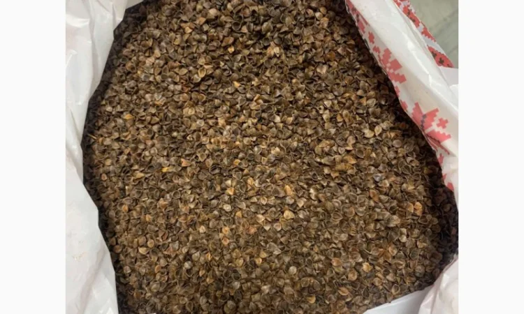 Лушпиння з гречки трилиста - фото № 2