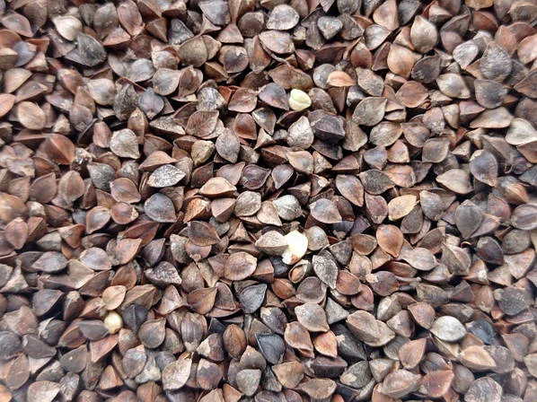 Покупка гречки фо2 - фото № 1