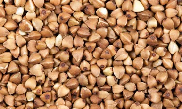 Гречка жарена оптом - фото № 1