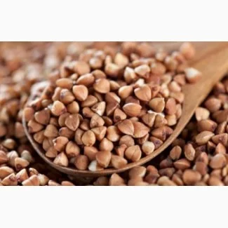 Закупівля гречки вологої - фото № 1