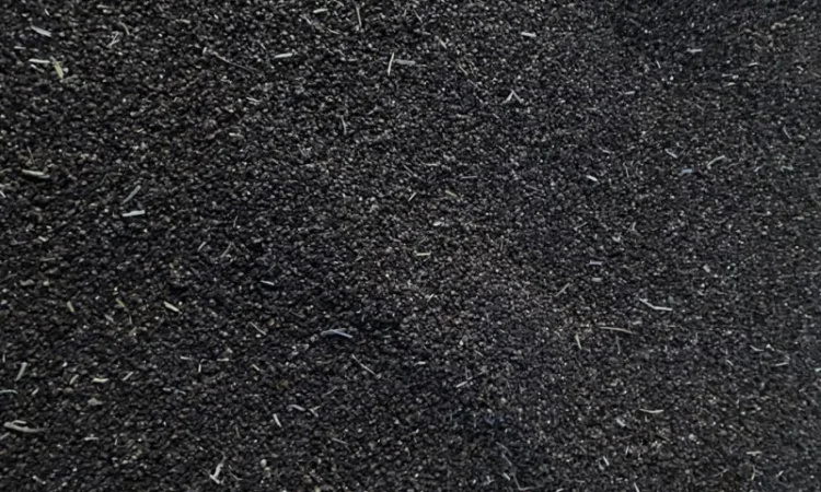 Гречка, сорт Арно ~7-8тонн - фото № 3