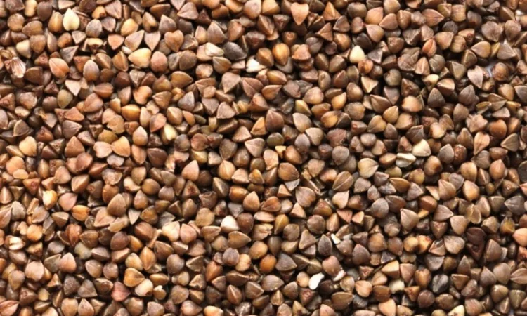 Покупка гречки та інших зернових - фото № 1