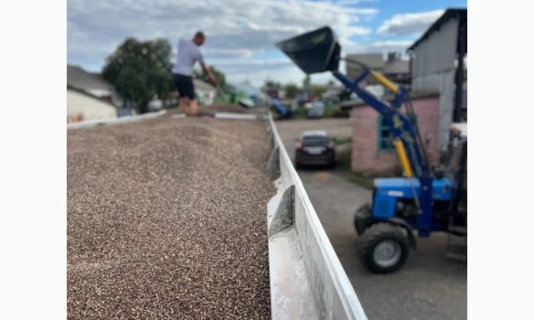 Куплю гречку в Дніпрі - фото № 1