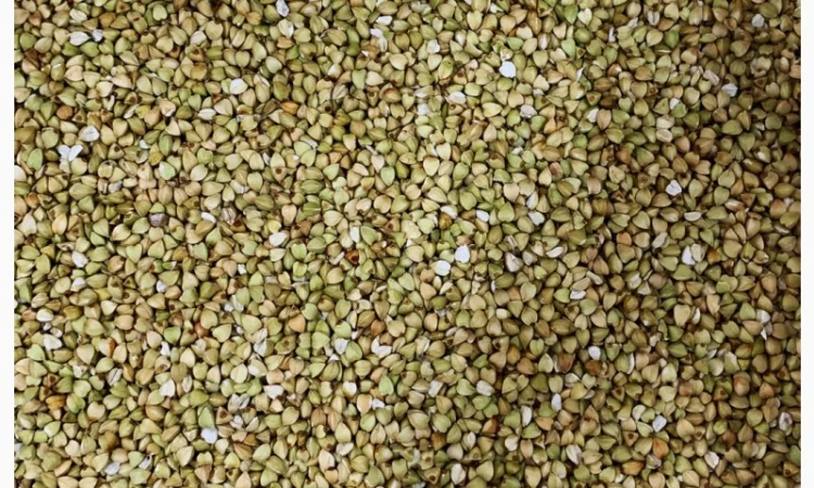 Крупа Гречана зелена (ОПТ від 5 тон, ціна за 1 кг) - фото № 1