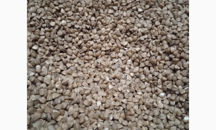 Крупа гречана - фото № 2