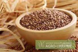 Гречка - Крупа гречневая - фото № 2