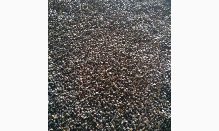 Гречка "Арно" (Посівну) у продажу - фото № 2