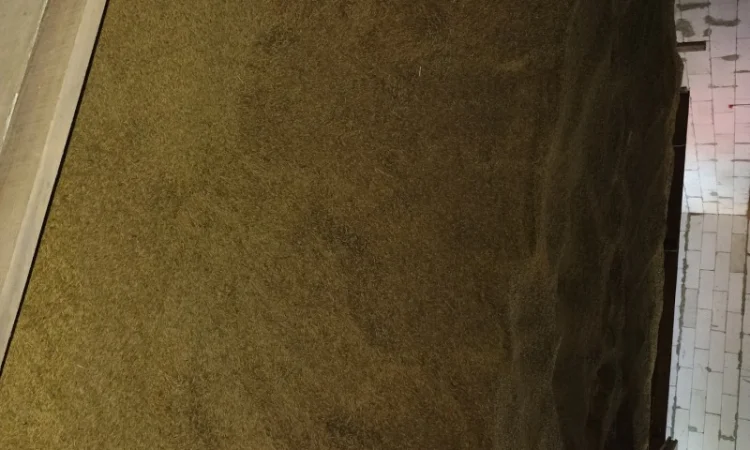 Продам овес - фото № 2