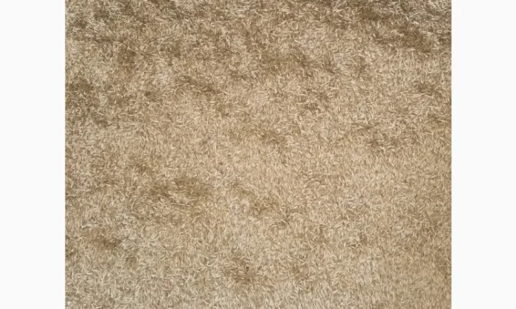 Продам Овес парламентский - фото № 3