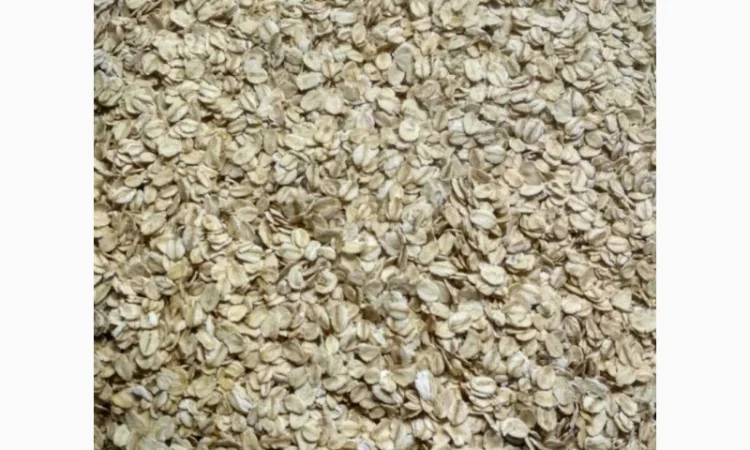 Продам вівсяні пластівці на експорт - фото № 2