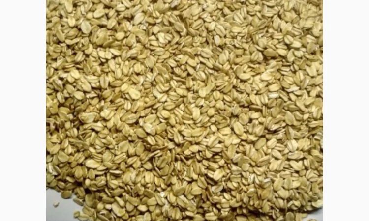 Продам вівсяні пластівці на експорт - фото № 3