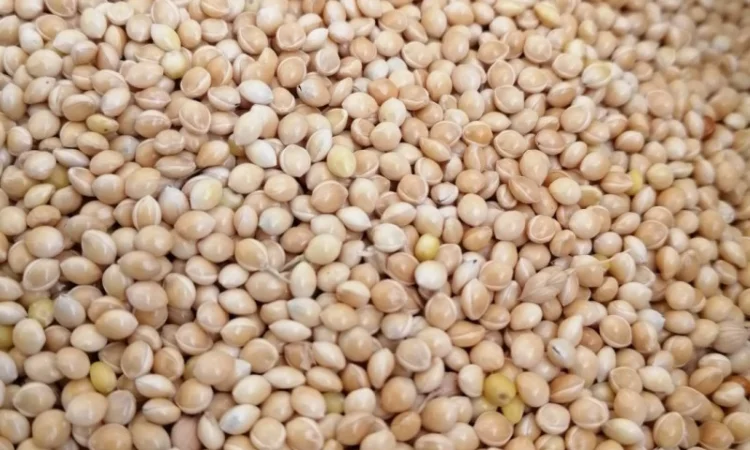 Реалізовуємо ПРОСО - фото № 1