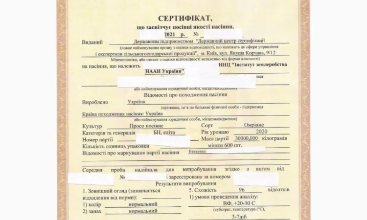 Семена просо белого, сорт "Омрияне" - фото № 2