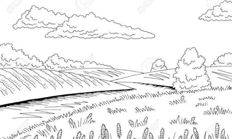 Закупка жовтого проса від 20 тонн - фото № 1