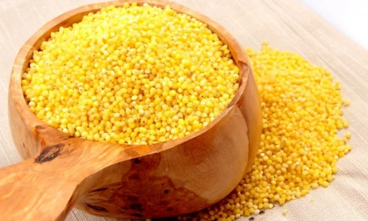 Закупка відходів проса - фото № 1