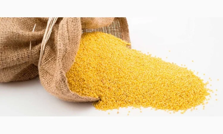 Закупівля проса різних видів - фото № 1