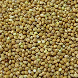 Посевмат проса Белая альтанка - фото № 1