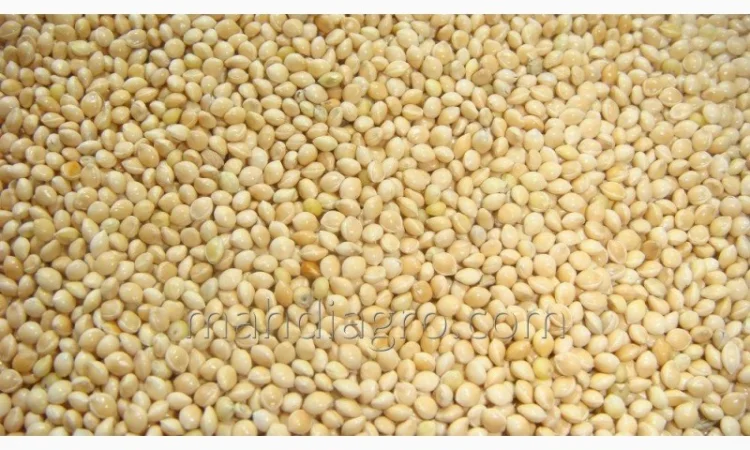 Купимо просо біле - фото № 1