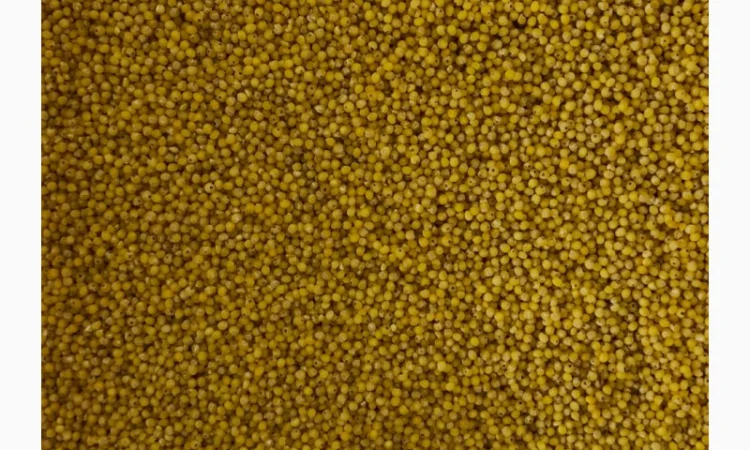 Пшоно (ОПТ від 5 т, ціна за 1 кг) - фото № 1