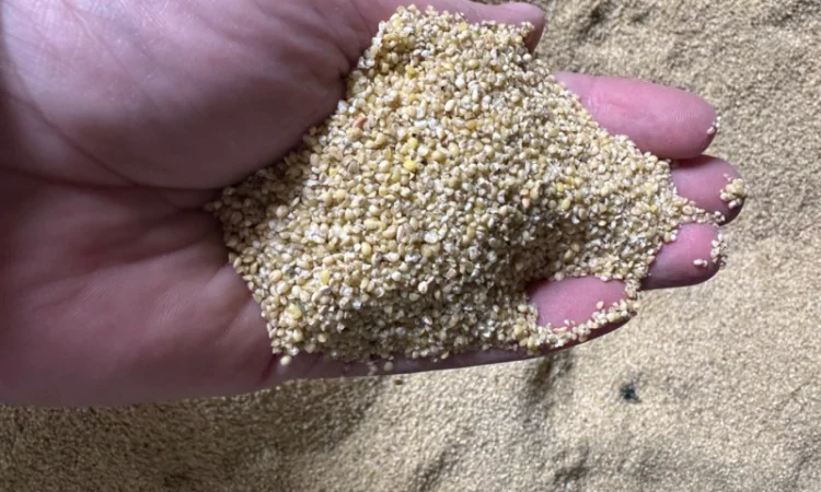 Продаємо відходи проса - фото № 1