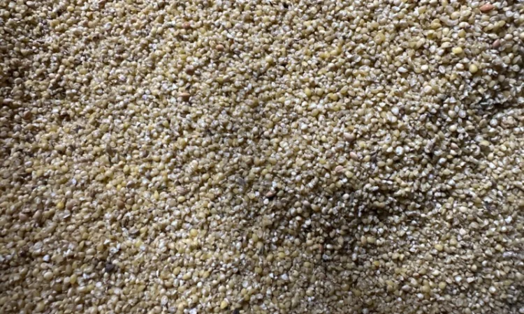 Продаємо відходи проса - фото № 2