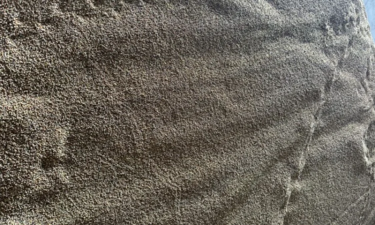 Продаємо відходи проса - фото № 6