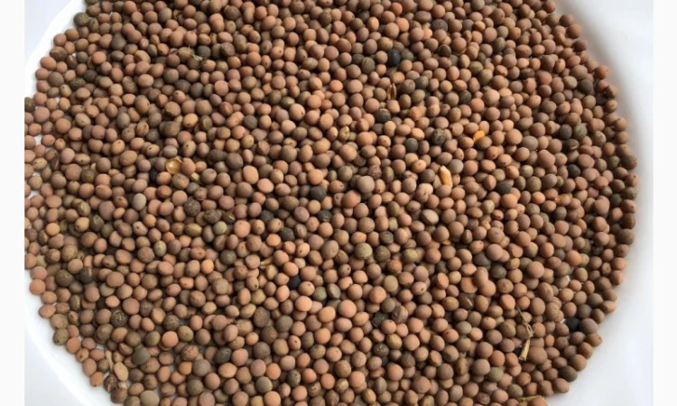 Вика пелюшка - фото № 1