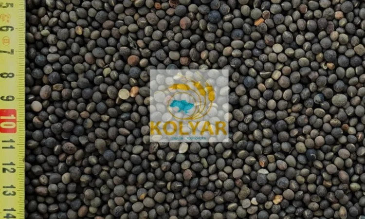 Закуповуємо вику - фото № 1