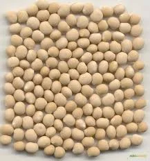 Семена люпина белого КРИСТАЛЛ элита 1 репрод - фото № 1