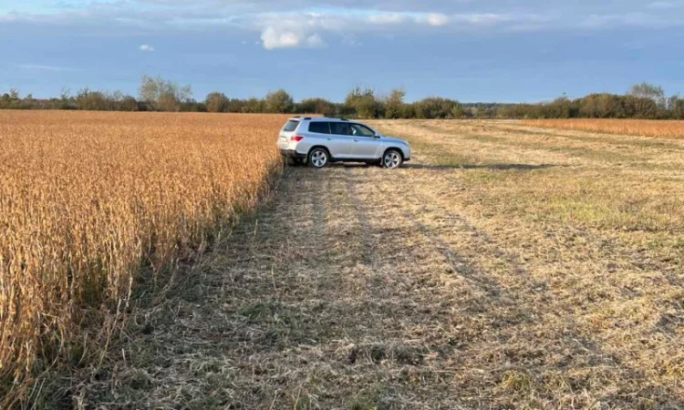 Продажа сои не ГМО урожая 2024 года - фото № 2