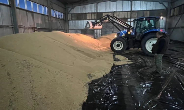 Продажа сои не ГМО урожая 2024 года - фото № 3