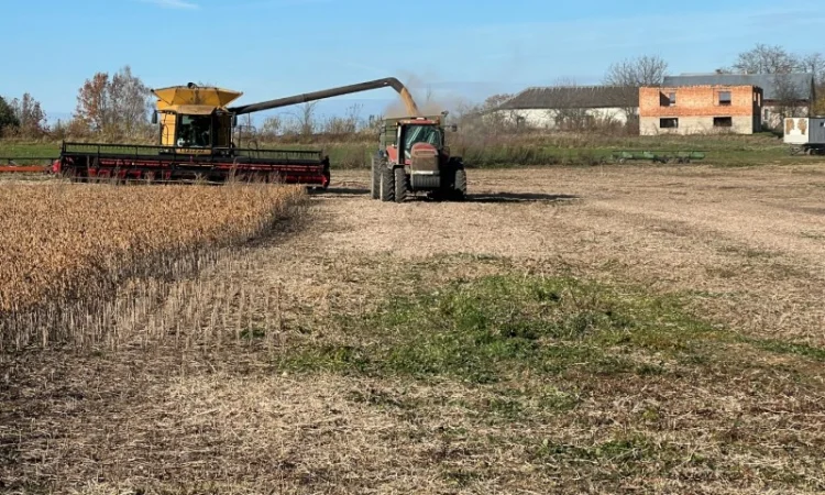 Продажа сои не ГМО урожая 2024 года - фото № 6