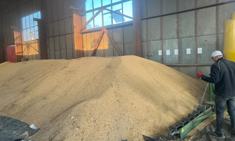 Продажа сои не ГМО урожая 2024 года - фото № 1