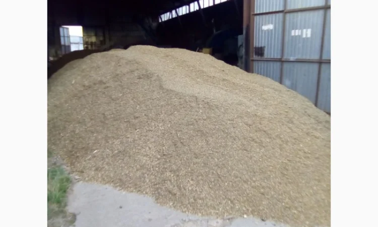 Половинки сои - фото № 1