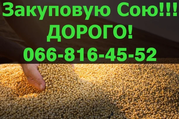 Куплю сою на постоянной основе по контракту - фото № 1