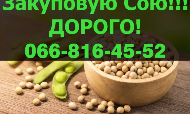 Купую СОЮ від виробника - фото № 1