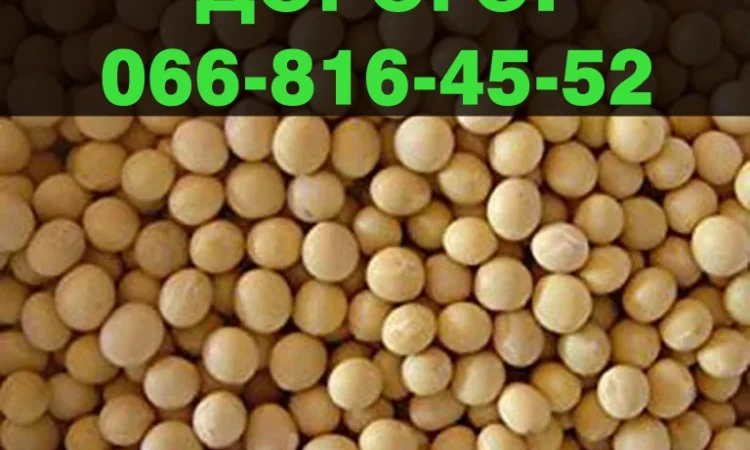 Куплю соевое зерно от производителя на постоянной основе - фото № 1