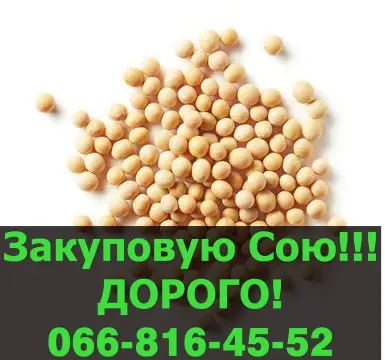 Куплю СОЮ в любом количестве - фото № 1