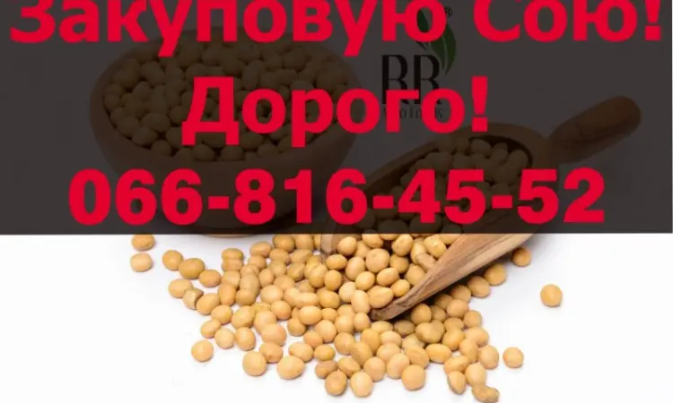 Куплю СОЮ от производителя!Доукомплектование Контракта - фото № 1