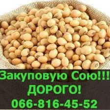 Куплю сою! Дорого! На постоянной основе! - фото № 1