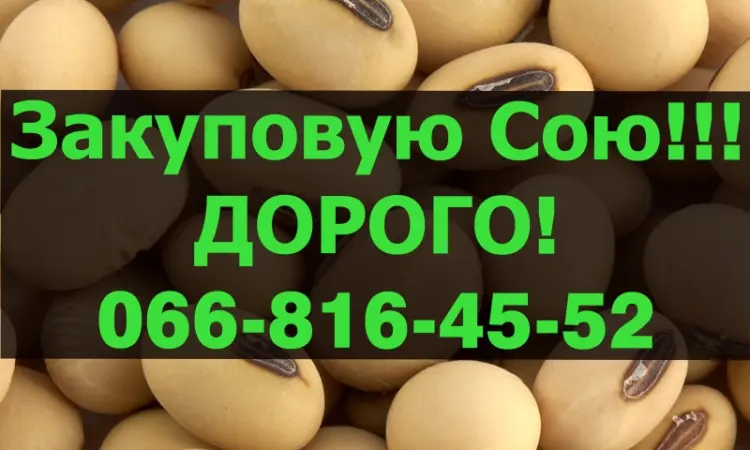 Перерабатывающее предприятие объявляет о закупке СОИ - фото № 1