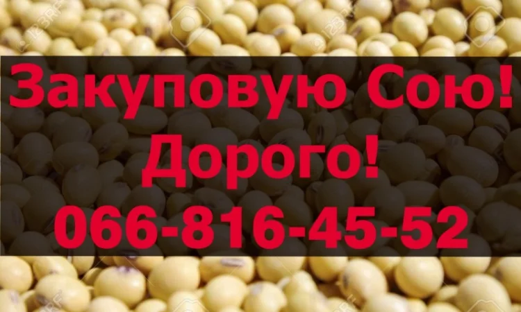 Куплю сою в любом объеме - фото № 1