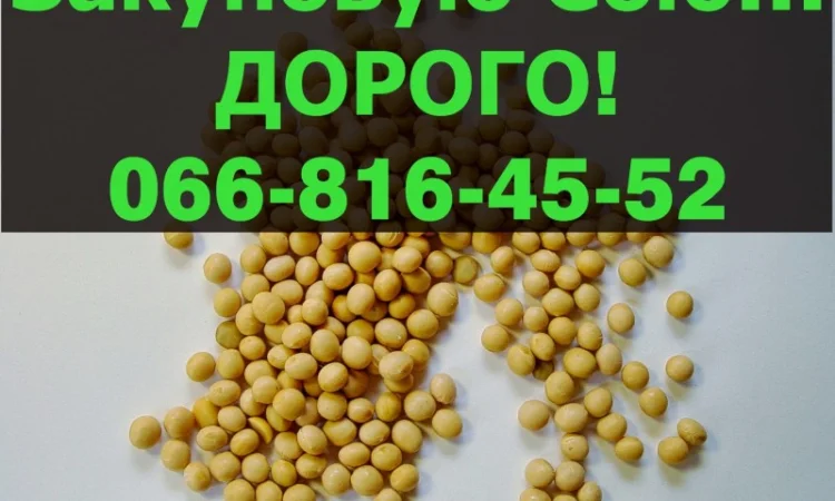 Закупка сои в любых объемах на постоянной основе - фото № 1