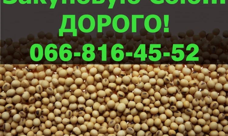 Запрошуємо до співпраці виробників СОЇ! Куплю сою дорого! - фото № 1